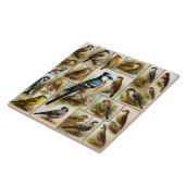 Carreau Oiseaux primitifs (Côté)
