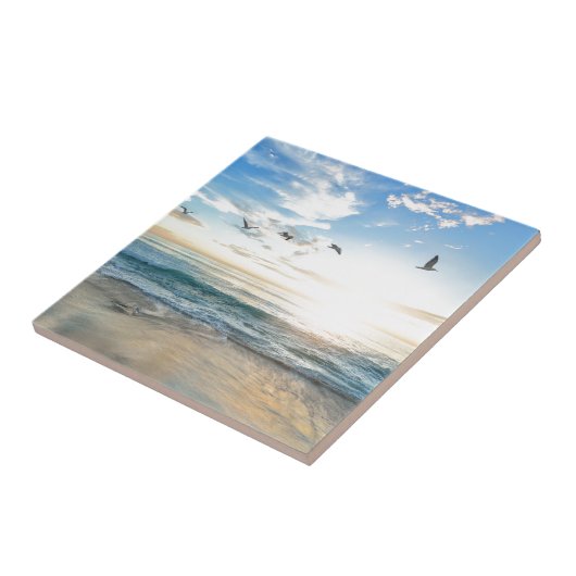 Carreau oiseaux sur la plage (Côté)