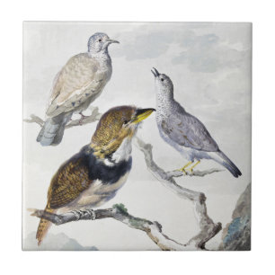 Carreau Oiseaux sur une branche dans un ton neutre élégant