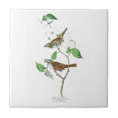 Carreau Oiseaux Throated blancs Amérique de John Audubon (Devant)