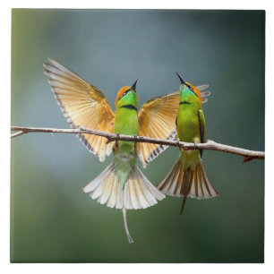 Carreau Oiseaux verts folâtrent dans la photographie d'arb