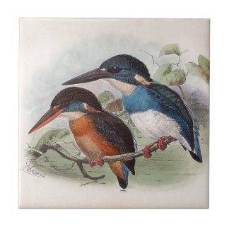 Carreau Oiseaux vintages