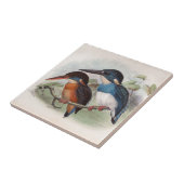 Carreau Oiseaux vintages (Côté)