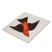 Carreau Oiseaux vintages d'oiseau chanteur d'oiseau de (Côté)