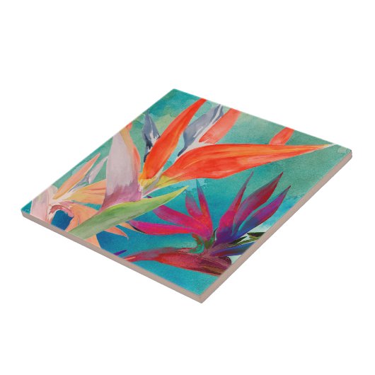 Carreau Oiseaux vivants du paradis (Côté)