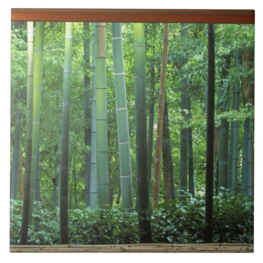 Carreau Okochi Sanso, Arashiyama, Kyoto, Japon 3 (Devant)