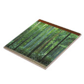 Carreau Okochi Sanso, Arashiyama, Kyoto, Japon 3 (Côté)