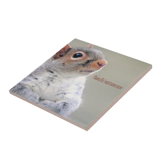 Carreau Oliver Twist Squirrel (Côté)