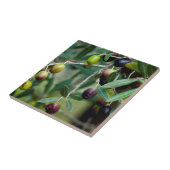 Carreau Olives grandissantes (Côté)