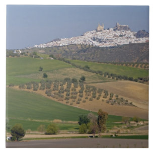 Carreau Olvera, Andalousie, Espagne