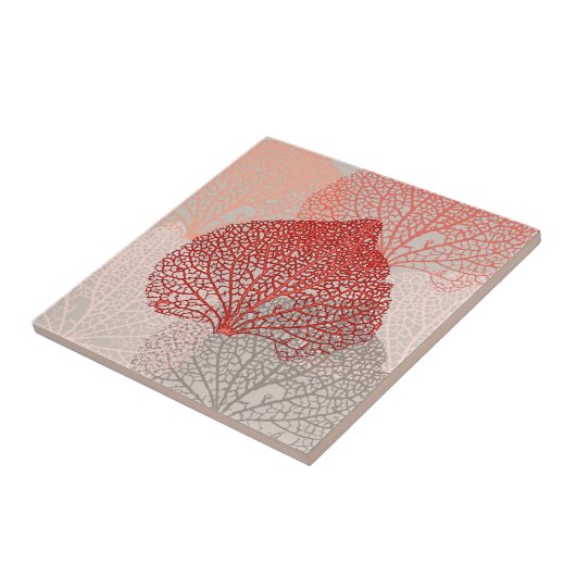 Carreau Ombre corail (Côté)