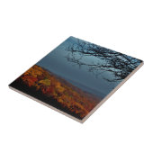 Carreau Ombre d'automne (Côté)