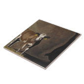 Carreau Ombre de vache (Côté)