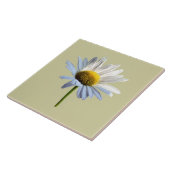 Carreau Ombre et lumière margueuse (Côté)