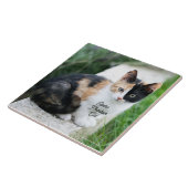 Carreau Opera Phantom Chat (Côté)