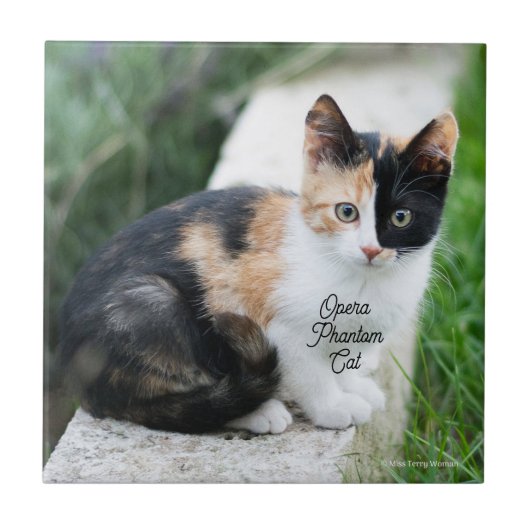 Carreau Opera Phantom Chat (Devant)