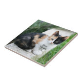 Carreau Opera Phantom Chat (Côté)