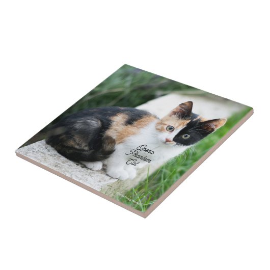 Carreau Opera Phantom Chat (Côté)