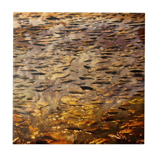 Carreau Or appliqué (Devant)