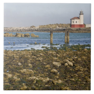 Carreau OR, côte de l'Oregon, Bandon, rivière Coquille