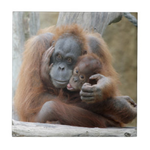 Carreau Orang Utan 001