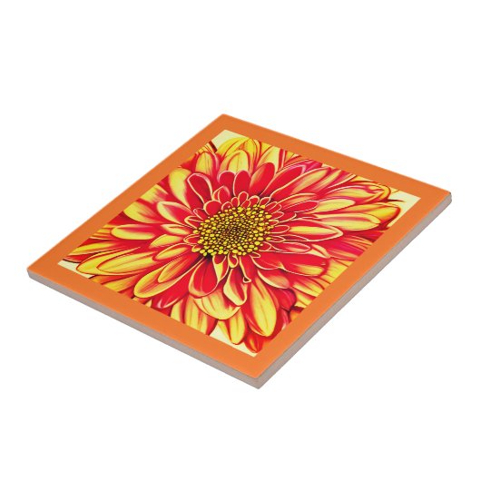 Carreau Orange géant et fleurs d'aster jaune doré (Côté)