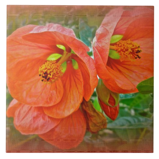 Carreau Orange Hibiscus Fleurs (Devant)