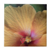 Carreau Orange Hibiscus Ruffle (Devant)