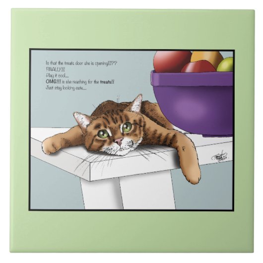 Carreau Orange Tabby Cute Traitements (Devant)