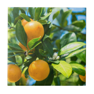 Carreau Oranger en fruits