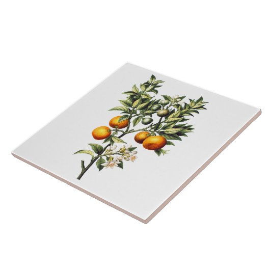 Carreau Oranges vintages (Côté)