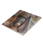 Carreau OrangUtan 002 (Côté)