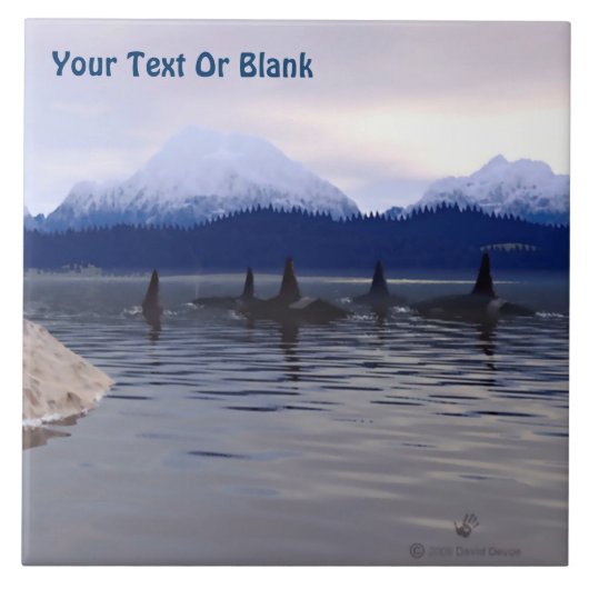 Carreau Orca d'eau foncée (Devant)