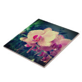 Carreau Orchid phalaenopsis ppolka dot pink flowers (Côté)