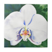 Carreau Orchidée blanche (Devant)