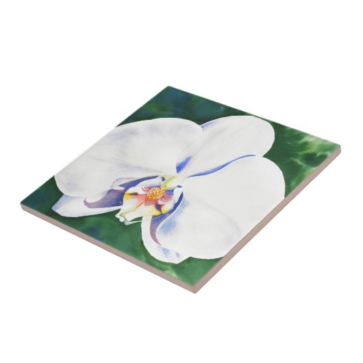 Carreau Orchidée blanche (Côté)