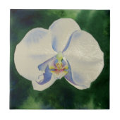 Carreau Orchidée blanche (Devant)