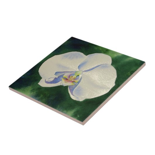 Carreau Orchidée blanche (Côté)