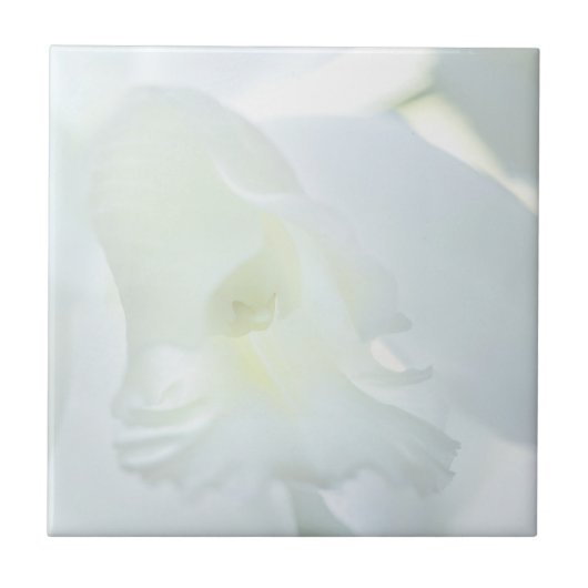 Carreau Orchidée blanche (Devant)