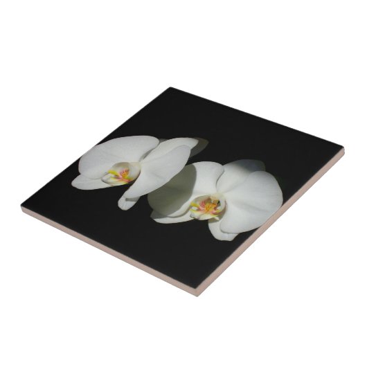 Carreau Orchidée blanche, fleurs blanches tropicales (Côté)