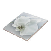 Carreau Orchidée blanche Phaleonopsis (Côté)