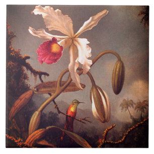 Carreau Orchidée brésilienne blanche