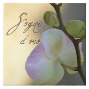Carreau Orchidée de Sogni D'oro (rêves doux)