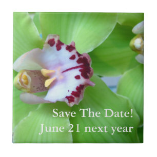 Carreau Orchidée du Cymbidium vert