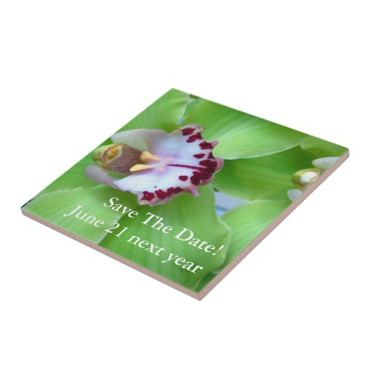 Carreau Orchidée du Cymbidium vert (Côté)