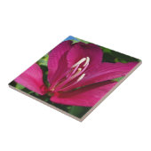 Carreau Orchidée Fleurie tropicale Florale (Côté)