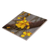 Carreau Orchidée - Matin doré (Côté)