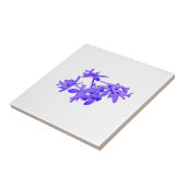 Carreau Orchidée moulue teintée par bleu de fleurs (Côté)