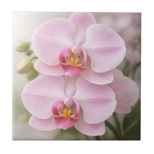 Carreau Orchidée Phalaenopsis Rose Clair