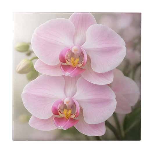Carreau Orchidée Phalaenopsis Rose Clair (Devant)